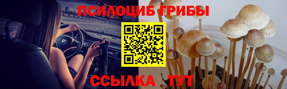 Галлюциногенные грибы Magic Shrooms Можга