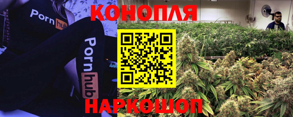 Бошки Шишки ГИДРОПОН  Каннабис семена  Конопля семена  Каннабис Amnesia  Можга  Вход с VPN 